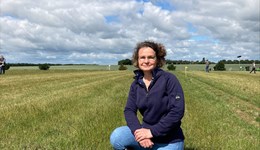 Blog - Making sense of the market and trade information